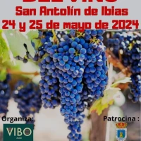 Fiesta del Vino en San Antolín de Ibias 2024