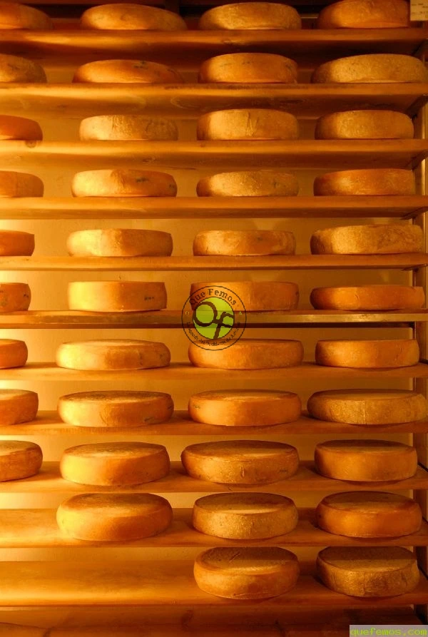 Degustación de quesos españoles en la Taberna de Guillermo