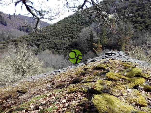 Ruta a la cascada de A Seimeira en Santalla de Oscos: PR.AS-116