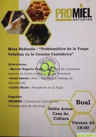 Mesa redonda en Boal: