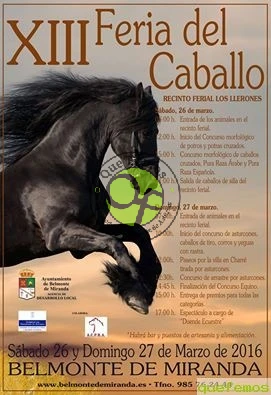 XIII Feria del Caballo en Belmonte de Miranda 2016