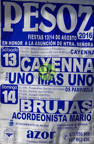 Fiestas de Nuestra Señora de la Asunción 2016 en Pesoz