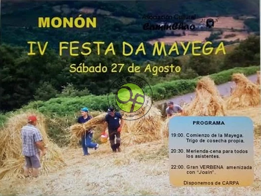 IV Festa da Mallega 2016 en Monón