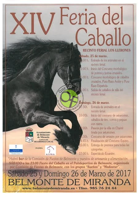 XIV Feria del Caballo 2017 en Belmonte de Miranda