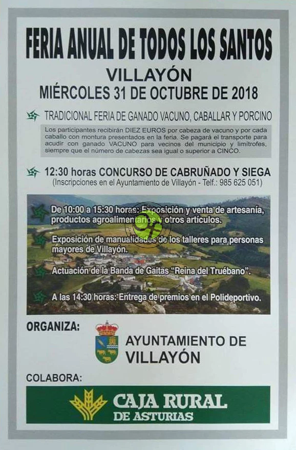 Feria de Todos los Santos 2018 en Villayón