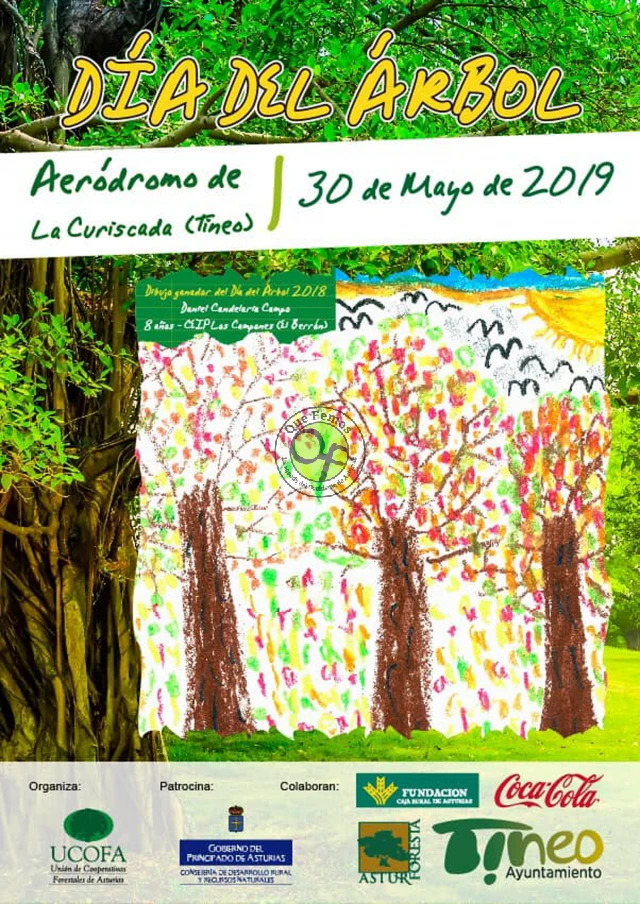 Día del Árbol 2019 en Tineo y presentación de Asturforesta 2019
