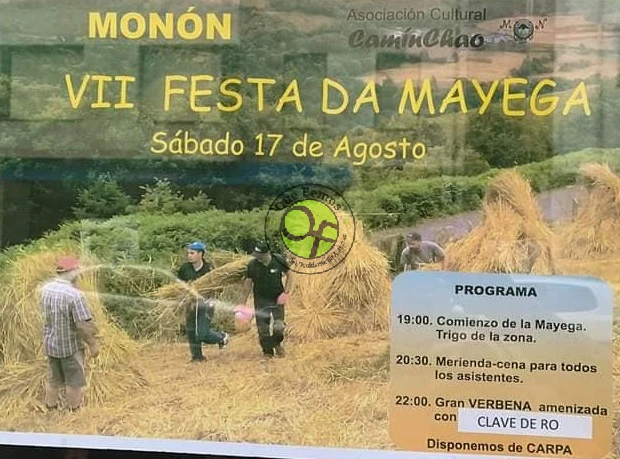 VII Festa da Mayega en Monón 2019
