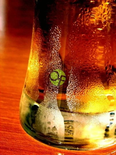 Curso de cerveza artesana en los Oscos: junio 2022
