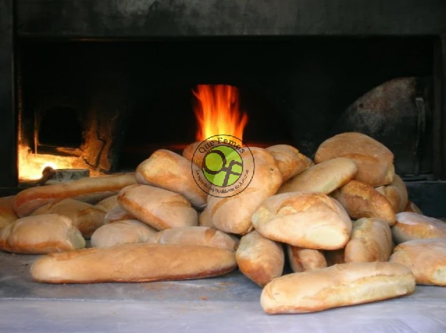 Curso de elaboración de pan en los Oscos: abril 2022
