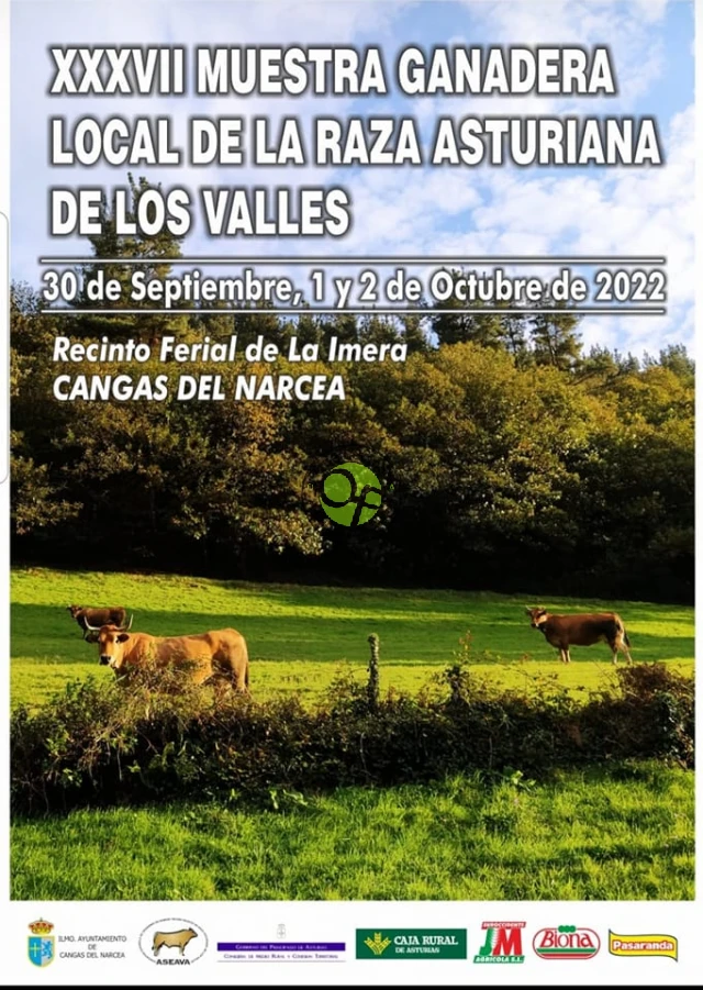 XXXVII Muestra Ganadera Local de la Raza Asturiana de los Valles en Cangas del Narcea 2022