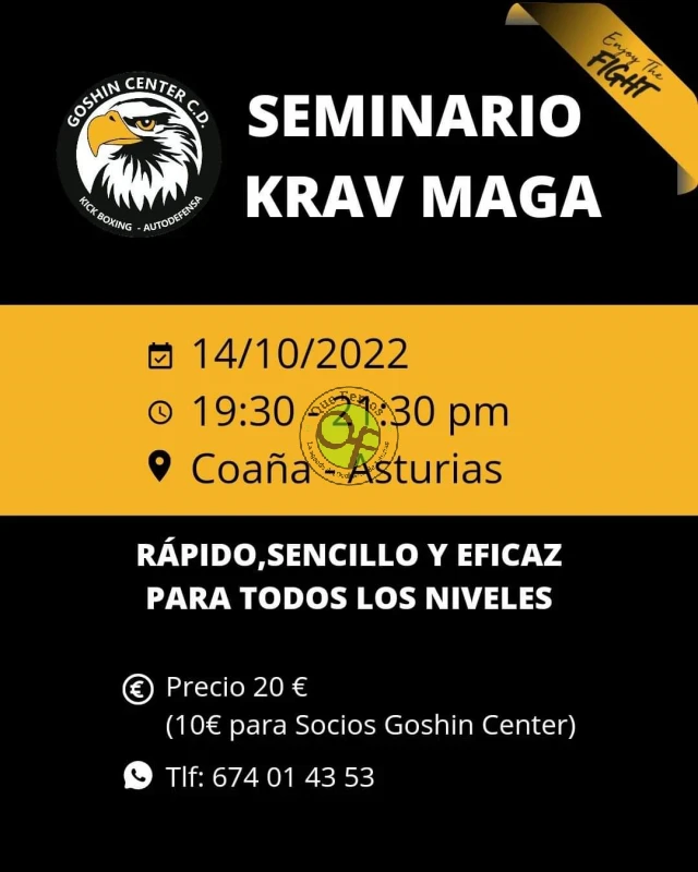 Goshin Center C.D. organiza un seminario sobre Krav Maga