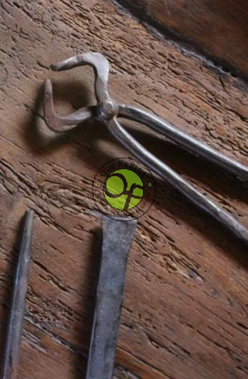 Curso de forja de herramientas en los Oscos: mayo 2023
