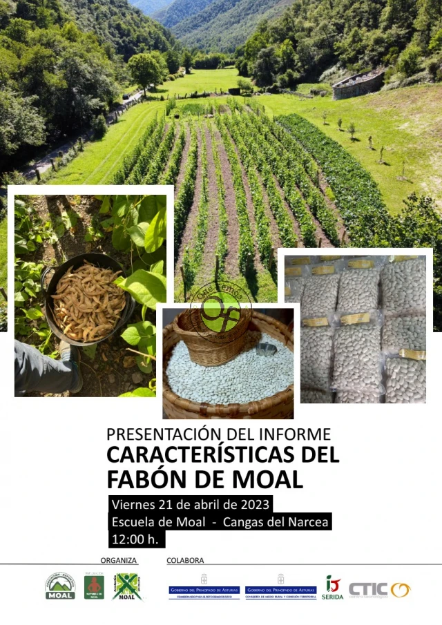 Presentación del informe en el que se recogen las características del Fabón de Moal