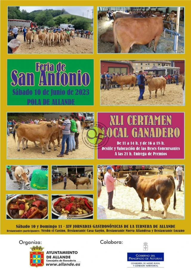 Feria de San Antonio 2023 y XLI Certamen Local Ganadero en Pola de Allande
