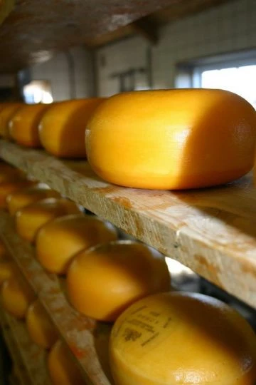 Curso de quesos y productos lácteos en los Oscos: octubre 2023