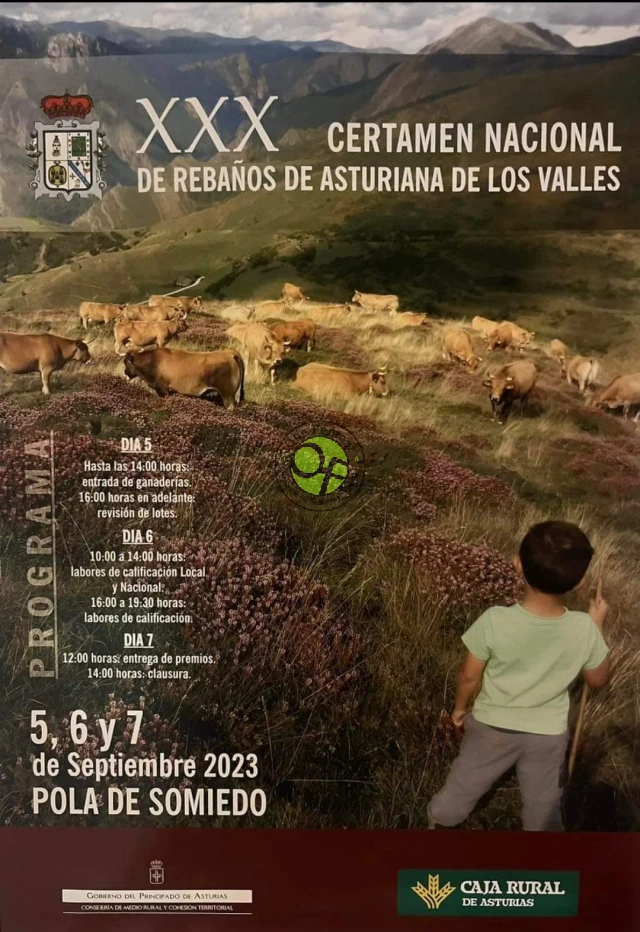 XXX Certamen Nacional de Rebaños de Asturiana de los Valles  2023 en Pola de Somiedo