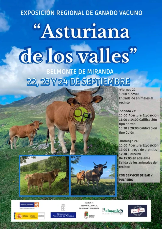 Exposición de Asturiana de los Valles en Belmonte de Miranda