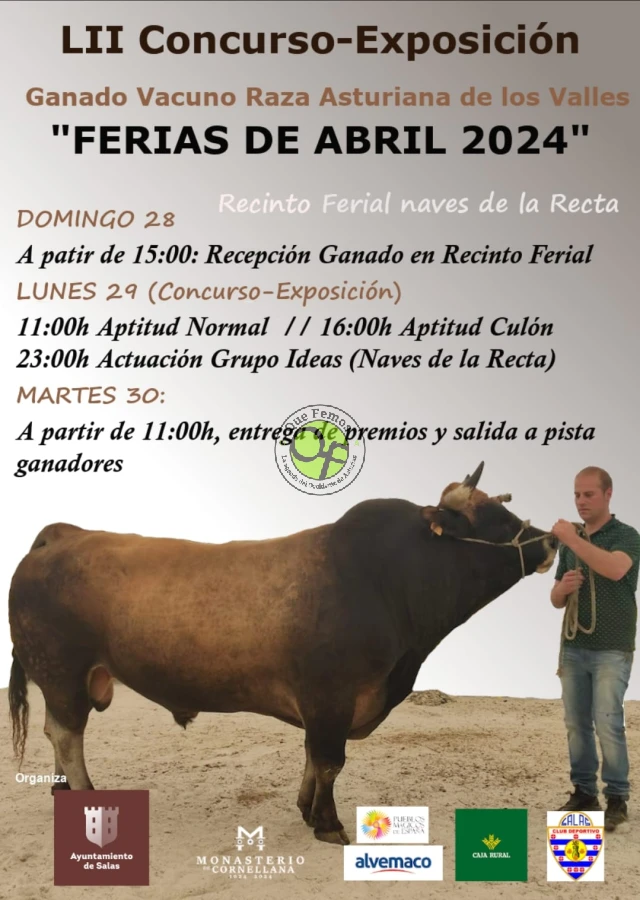 Salas celebra su popular Concurso-Exposición de Ganado Vacuno Raza Asturiana de los Valles 2024