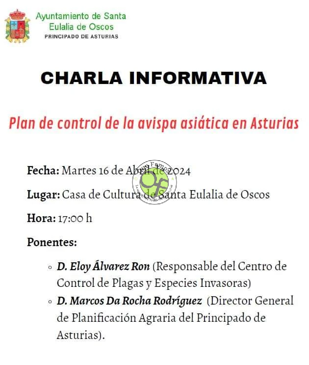 Santalla acoge una charla informativa sobre el Plan de Control de la Avispa Asiática en Asturias
