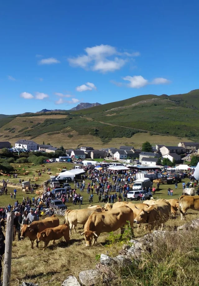 Feria ganadera de Nuestra Señora 2025 en el Puerto de Somiedo