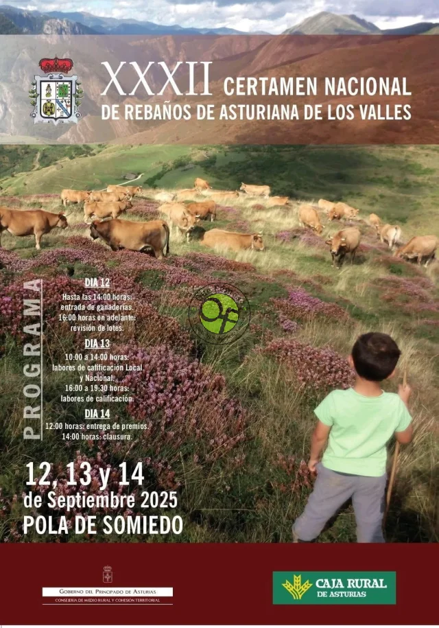 Certamen Nacional de Rebaños de Asturiana de los Valles 2025 en Pola de Somiedo
