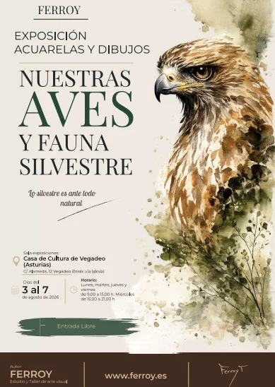 El artista Ferroy expone en Vegadeo sus acuarelas y dibujos de aves y fauna silvestre