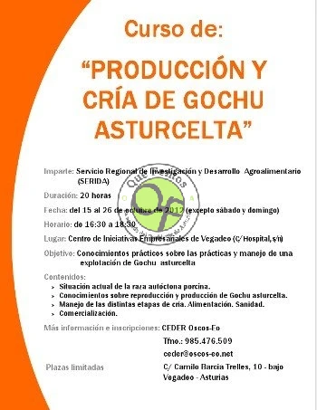 Curso de producción y cría de gochu asturcelta en Oscos-Eo