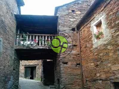 Excursión a Pesoz y Grandas de Salime