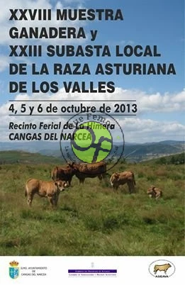 XXVIII Muestra Ganadera y XXIII Subasta Local de Asturiana de los Valles