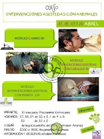 Curso sobre intervenciones asistidas con animales en Castropol