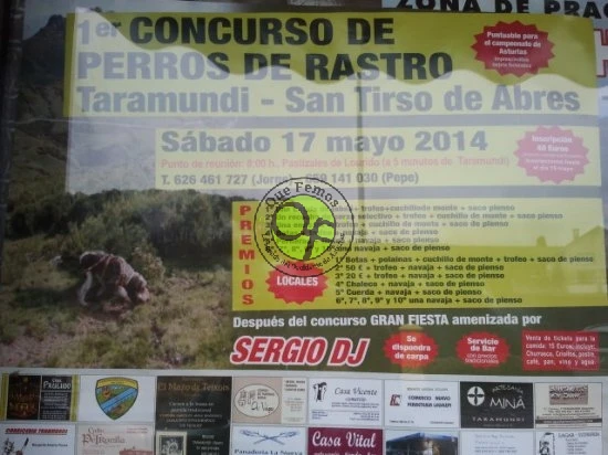 1º Concurso de Perros de Rastro en Taramundi y San Tirso de Abres