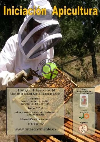 Curso de iniciación a la apicultura en Santalla de Oscos