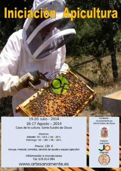 Curso de iniciación a la apicultura en Santalla de Oscos: julio 2014