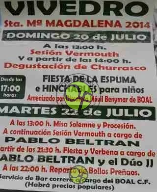 Fiestas de Santa María Magdalena 2014 en Vivedro