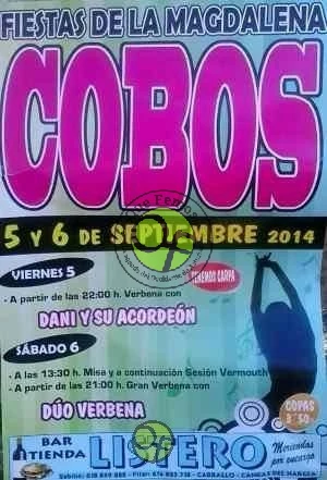 Fiestas de la Magdalena 2014 en Cobos