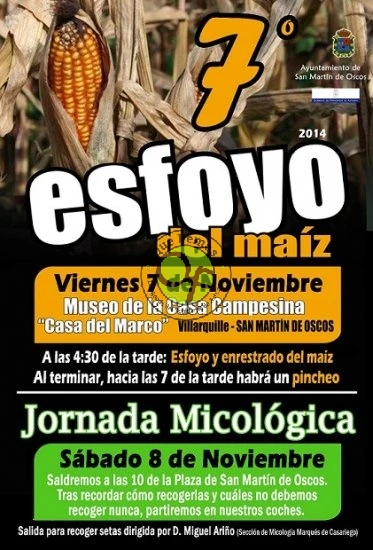 7º Esfoyo del maíz en San Martín de Oscos